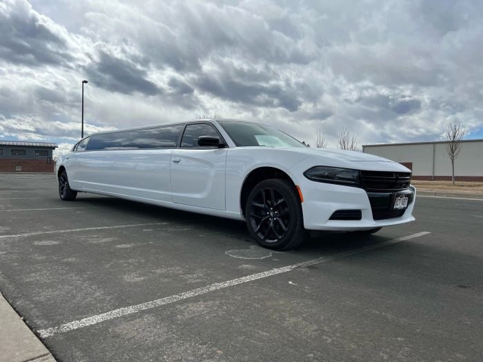 White stretch limo – Boulder limo service